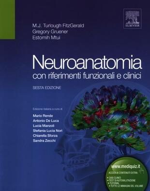 neuroanatomia